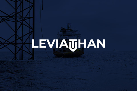 Leviathan logo design - ESP & Well Completion